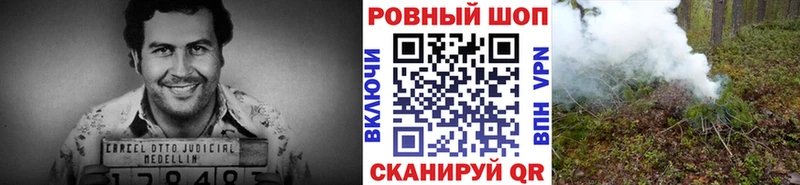 Где найти наркотики Красный Холм Героин  Мефедрон  COCAIN  СК  Псилоцибиновые грибы 