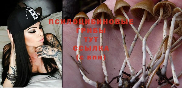 хмурый Белоозёрский