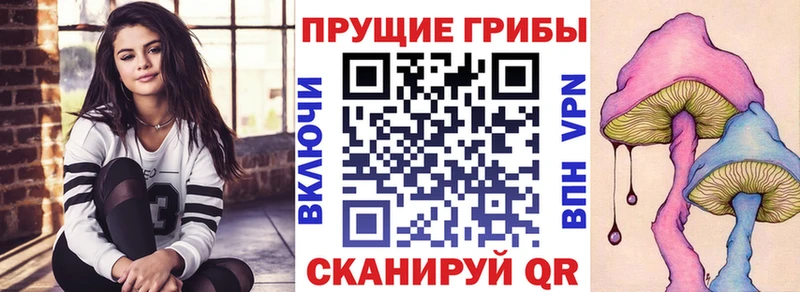 Псилоцибиновые грибы Psilocybe  ОМГ ОМГ рабочий сайт  Красный Холм 